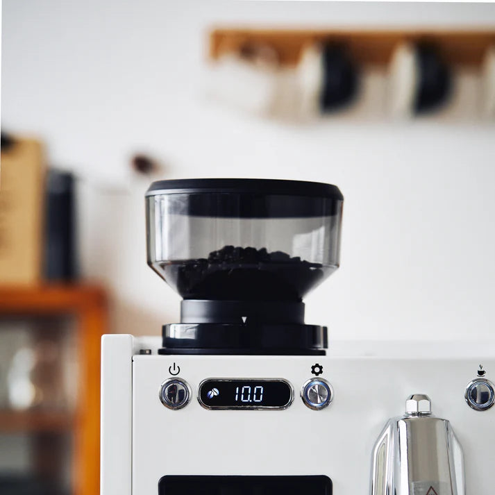 WPM - KD310GB | Dutch Colony Coffee Co.
