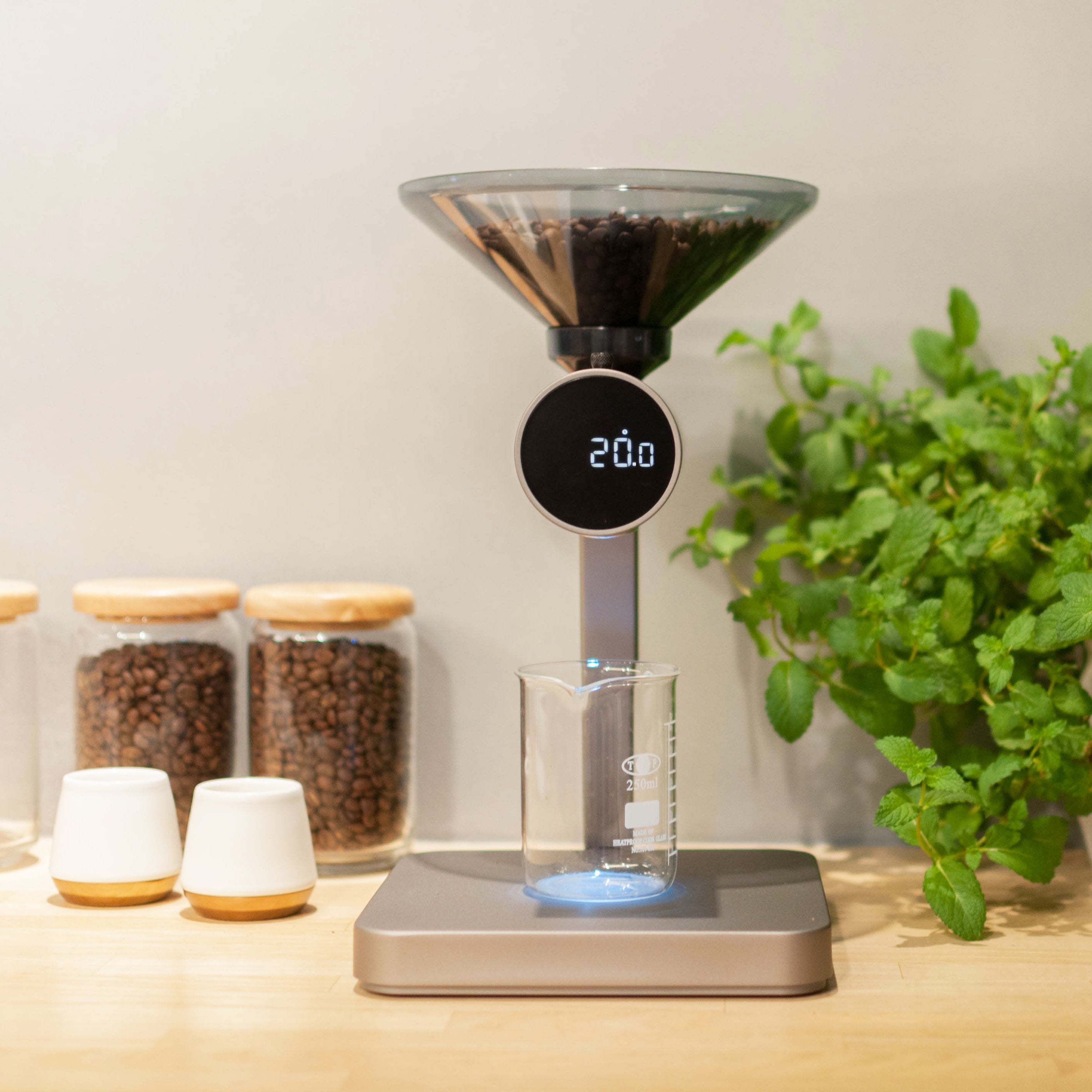 Orion Bean Doser | Dutch Colony Coffee Co